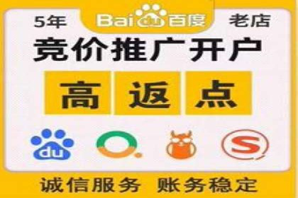 搜索引擎广告（SEM）在本地化推广中的运用案例